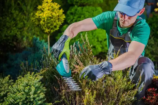 landscaping services West Sayville